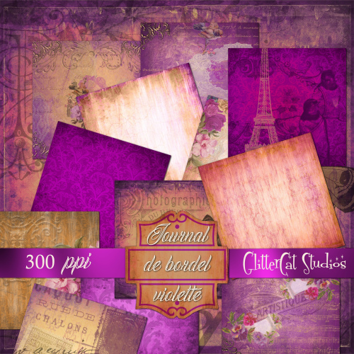 Journal de Bordel Violette Papers